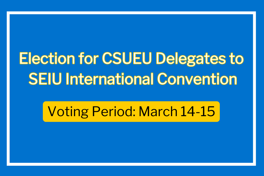 Convention Delegate Election.png